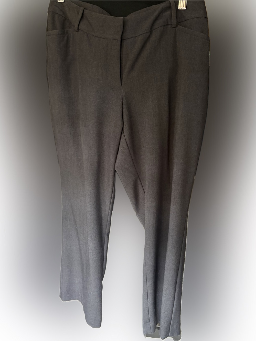 Liz Claiborne Dark Gray Straight-Leg Pants 8P short
